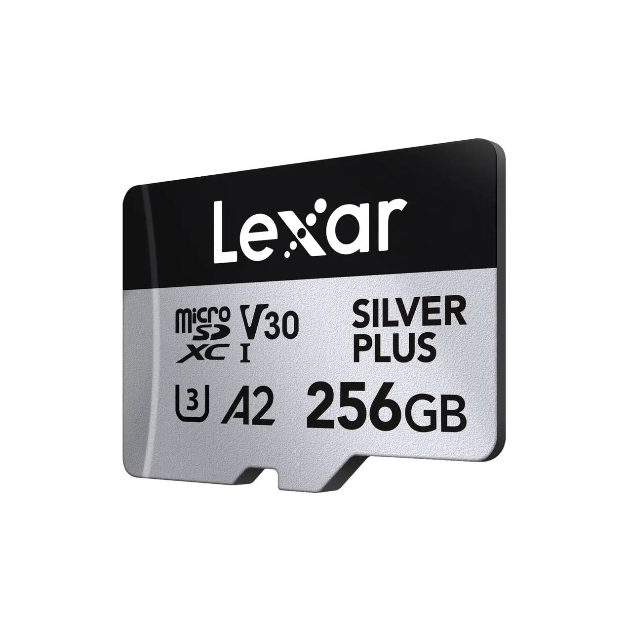 雷克沙 Professional SILVER PLUS 256GB U3 A2 V30 microSDXC